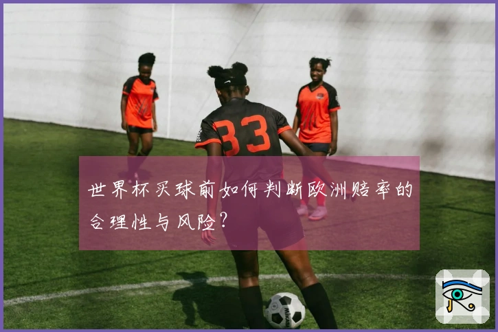 世界杯买球前如何判断欧洲赔率的合理性与风险？