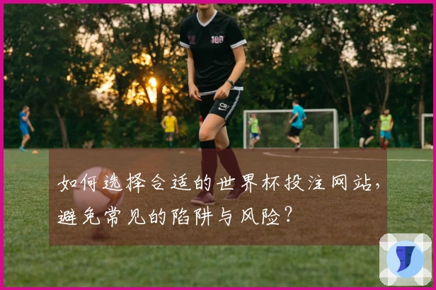 如何选择合适的世界杯投注网站，避免常见的陷阱与风险？